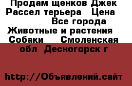 Продам щенков Джек Рассел терьера › Цена ­ 25 000 - Все города Животные и растения » Собаки   . Смоленская обл.,Десногорск г.